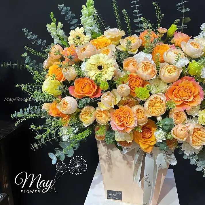 chuc-mung-thanh-cong-2