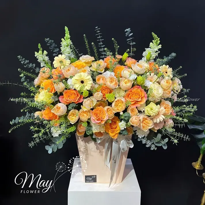 chuc-mung-thanh-cong-1