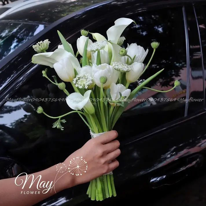calla trang