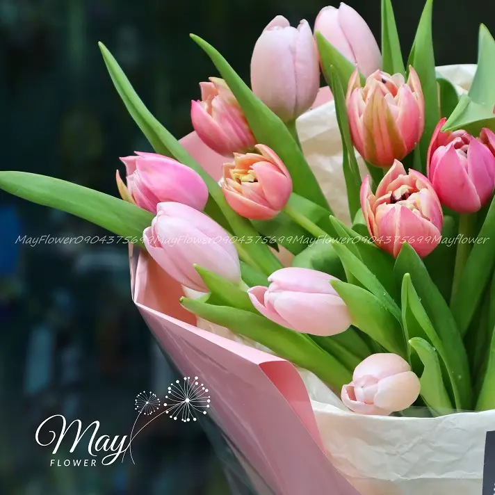 hanh-phuc-nhỏ-xinh-2