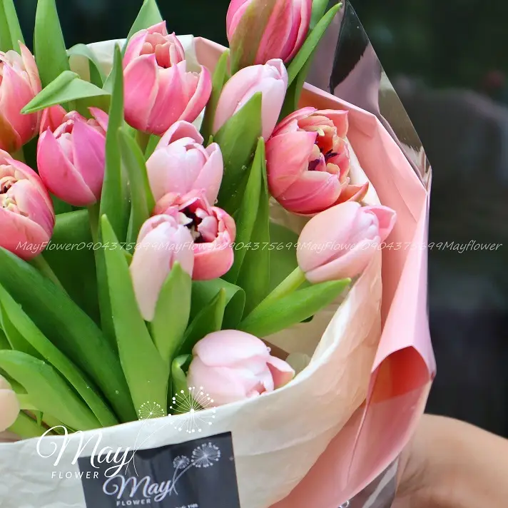 hanh-phuc-nhỏ-xinh-3