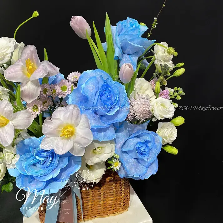 huong-hoa-khoe-sac-2