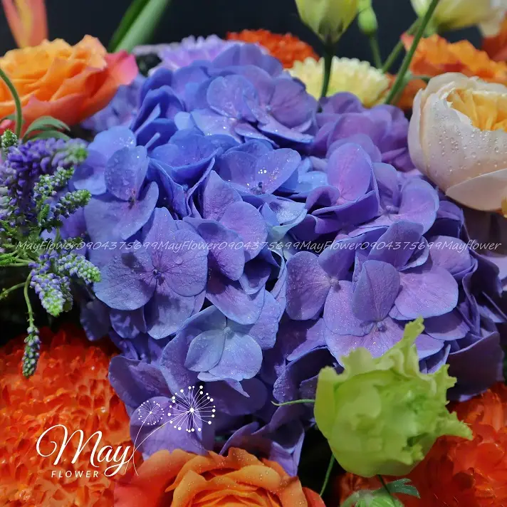 tinh-than-dong-day-1