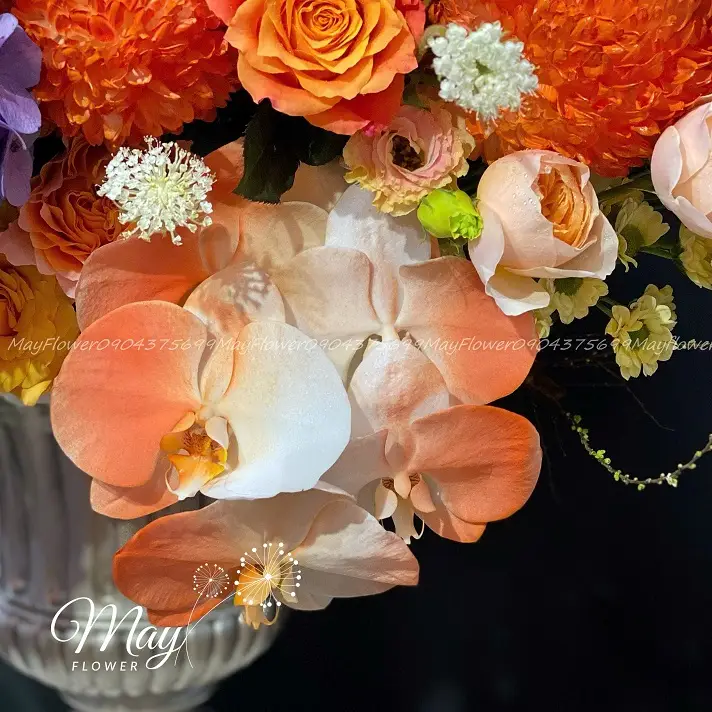 tinh-than-dong-day-3