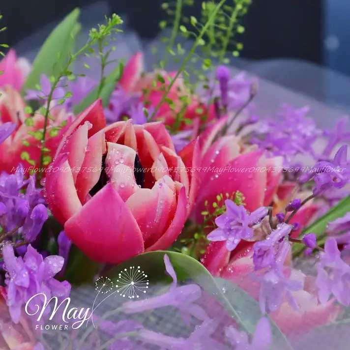 tulip-ruc-ro-3