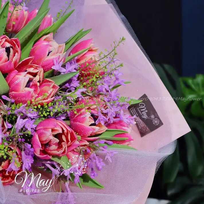 tulip-ruc-ro-2