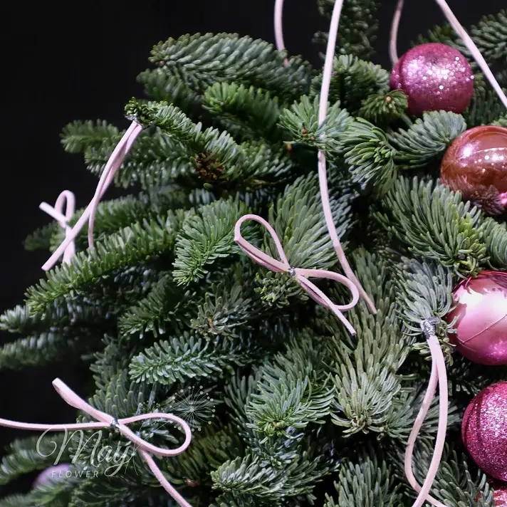 cay-thong-hanh-phuc-3