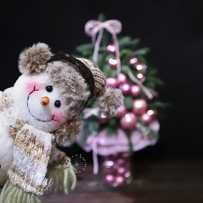 cay-thong-hanh-phuc-1