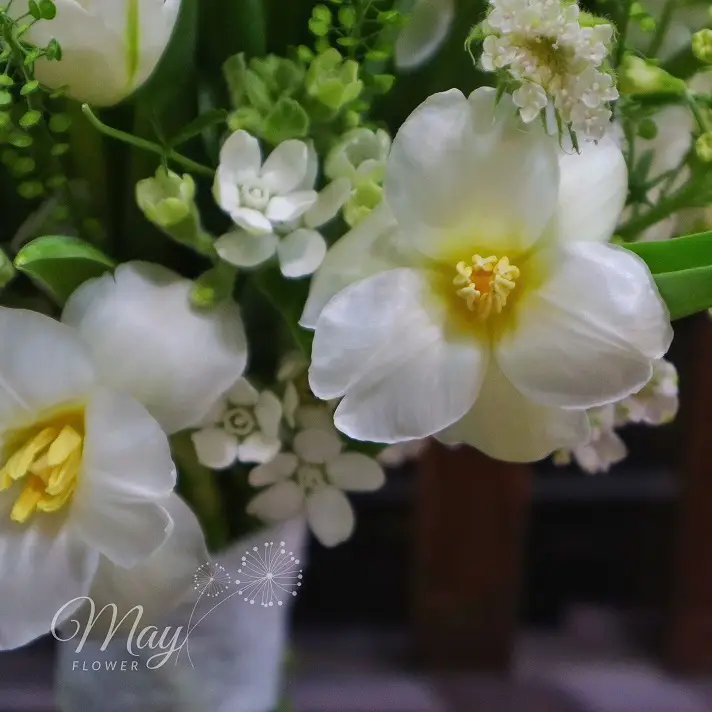 loi-to-tinh-ngot-ngao-1