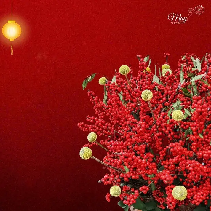 dao-sac-xuan-dao-dong