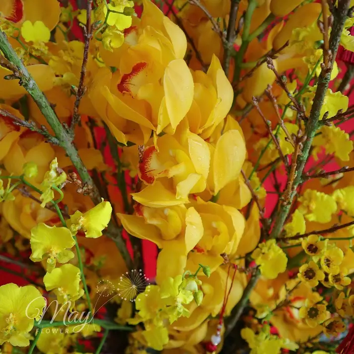 loc-mai-phu-quy-3