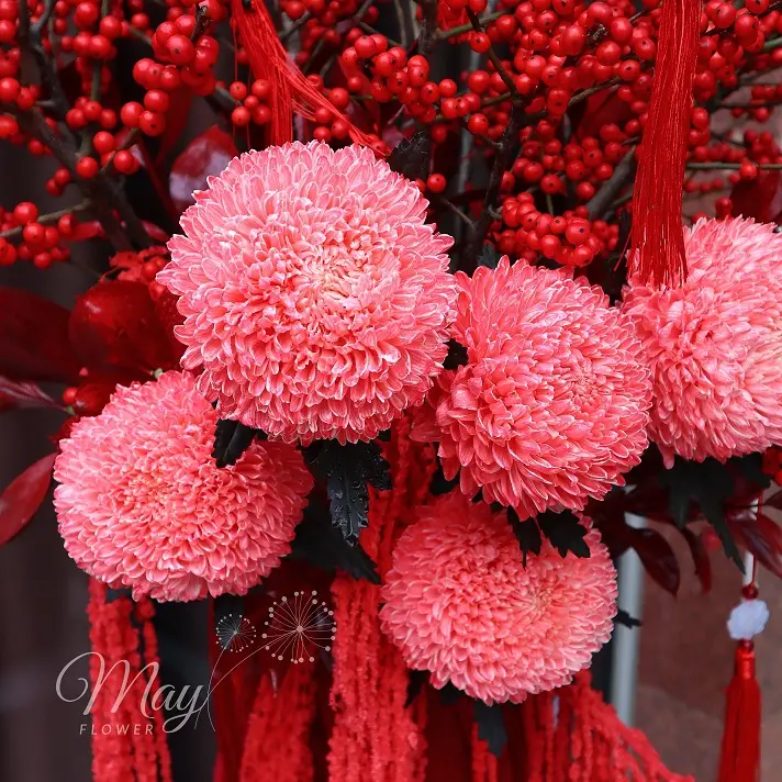 van-phuc-an-khang-2