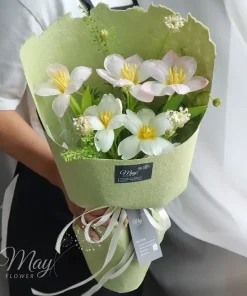 tulip-khoe-sac-moi-1