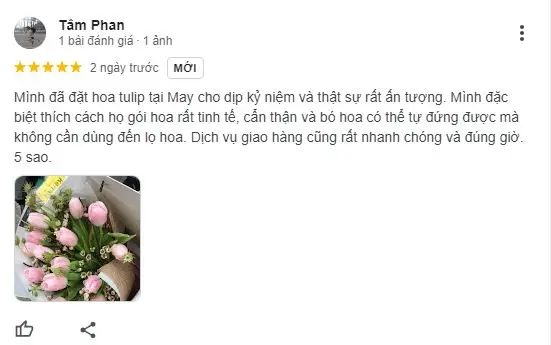 feedback