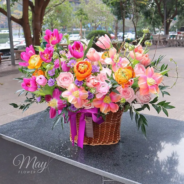 Hoa tulip