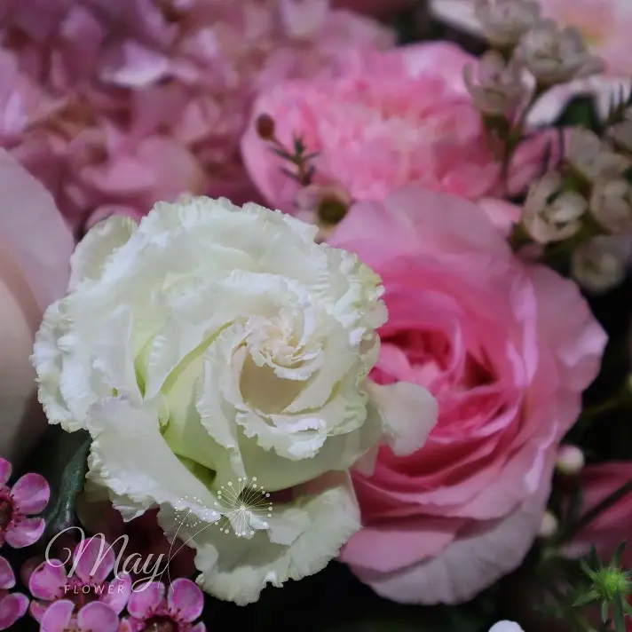 huong-thom-ngot-ngao-2