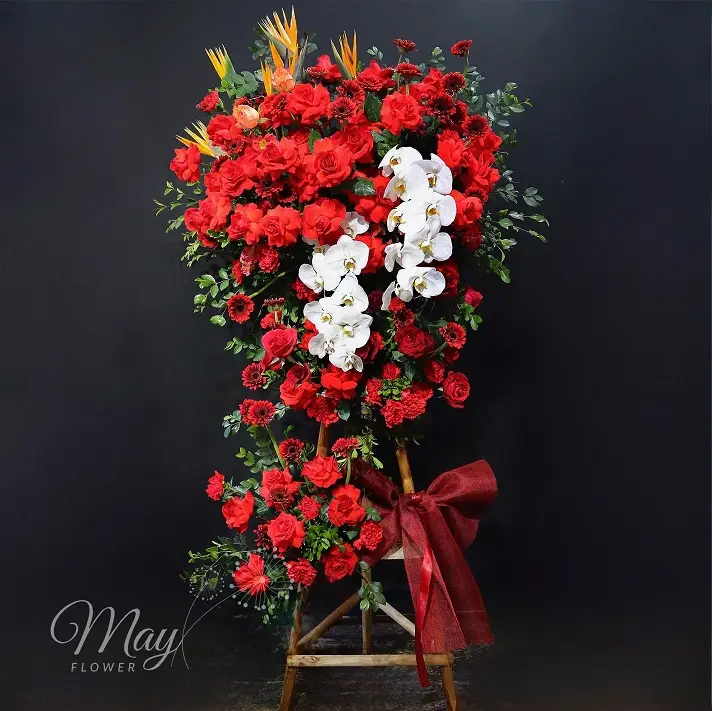 khai-truong-thanh-phat