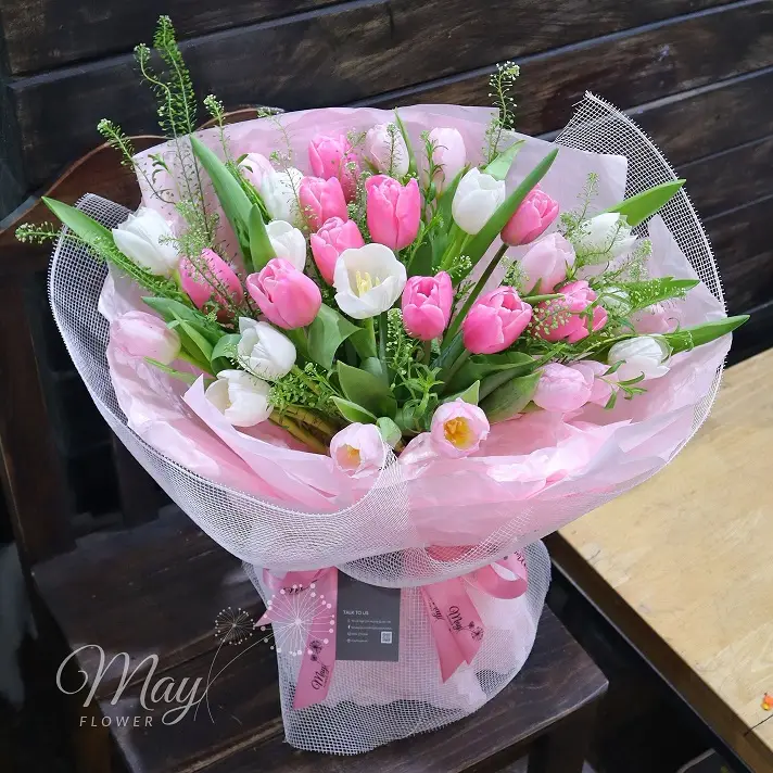 hoa tulip