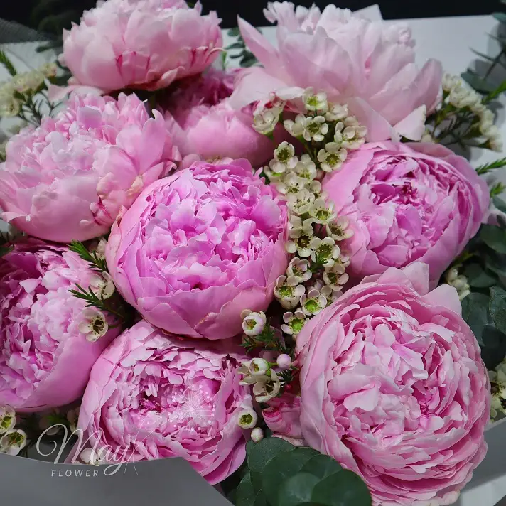 peony-dua-no-2