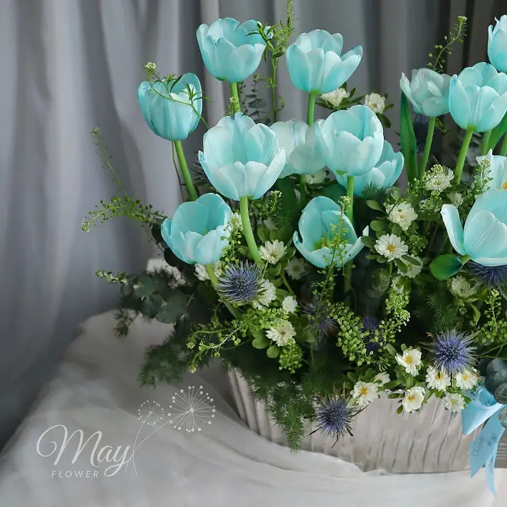 khu-vuon-tulip-2