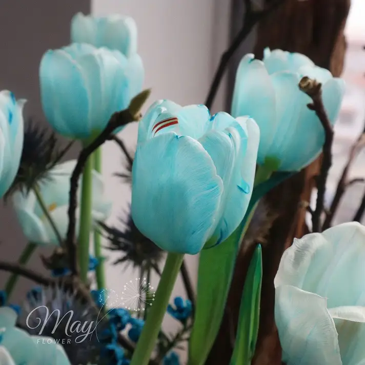 khu-vuon-tulip-3