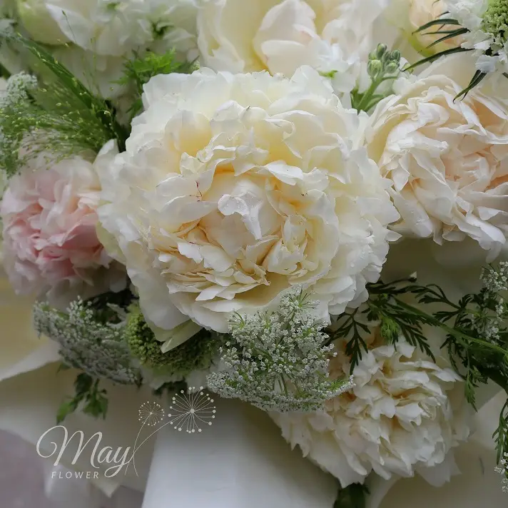 mong-mo-trong-nang-2