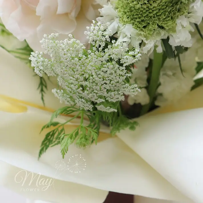 mong-mo-trong-nang-3