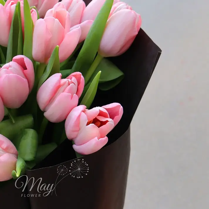 cau-chuyen-cua-hoa-1