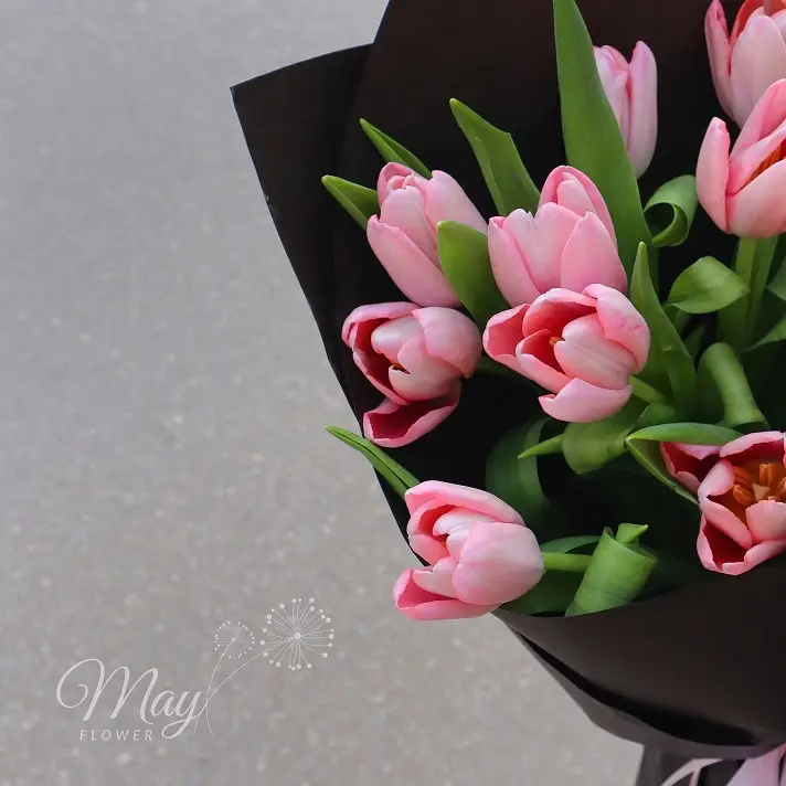 cau-chuyen-cua-hoa-1