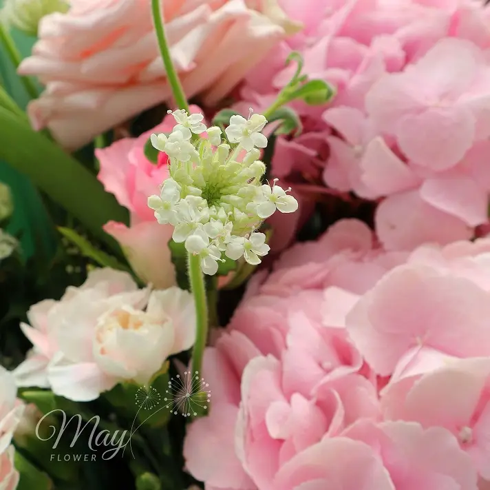 anh-duong-toa-sang-3