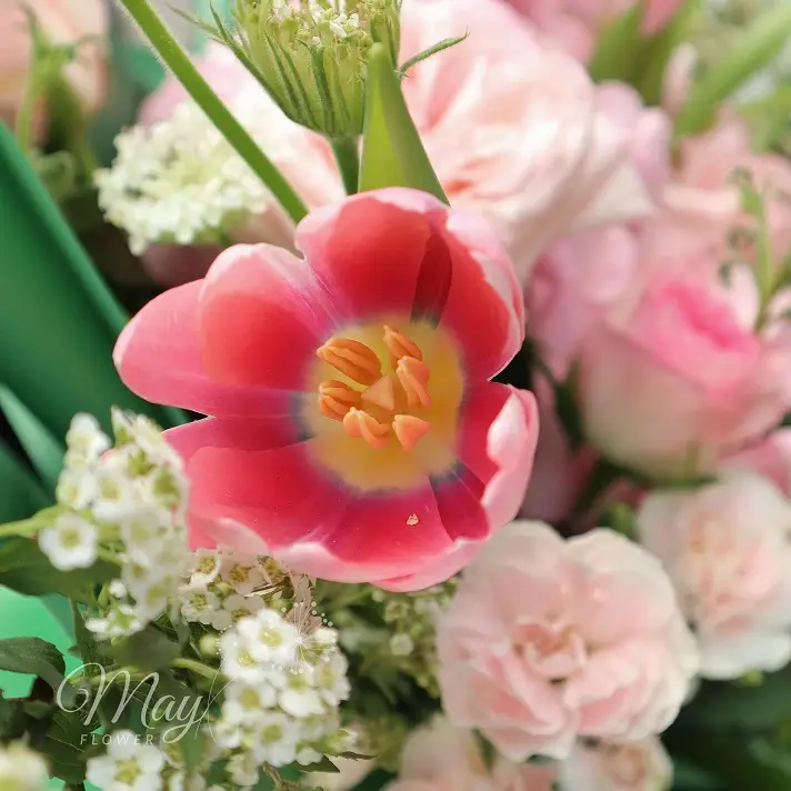 anh-duong-toa-sang-2