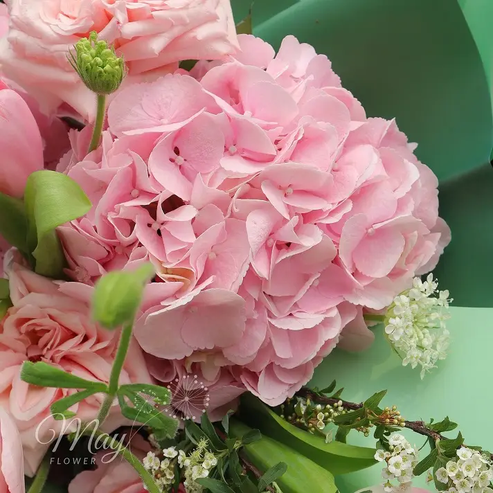 anh-duong-toa-sang-1