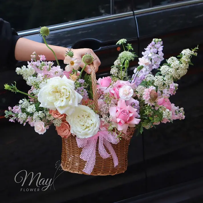 giac-mo-dau-mua-ha-1