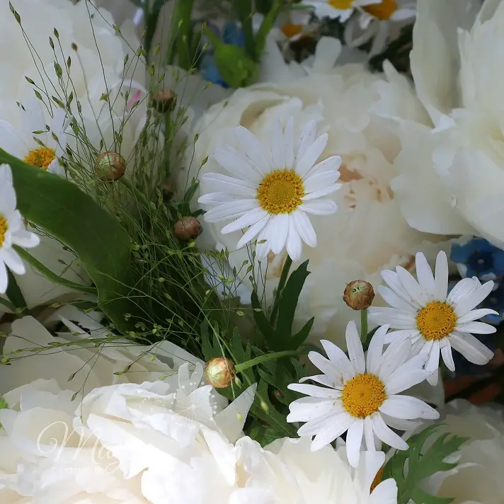 giot-nang-diu-dang-3