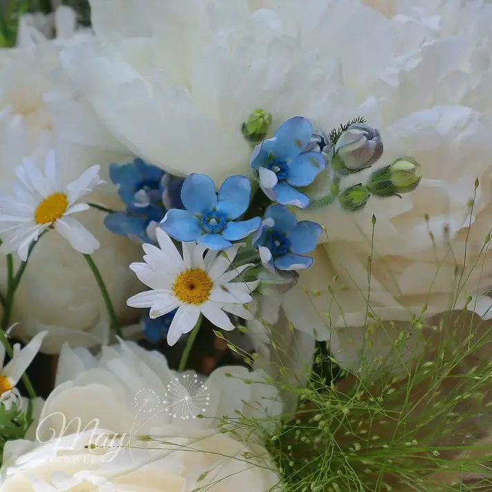 giot-nang-diu-dang-2