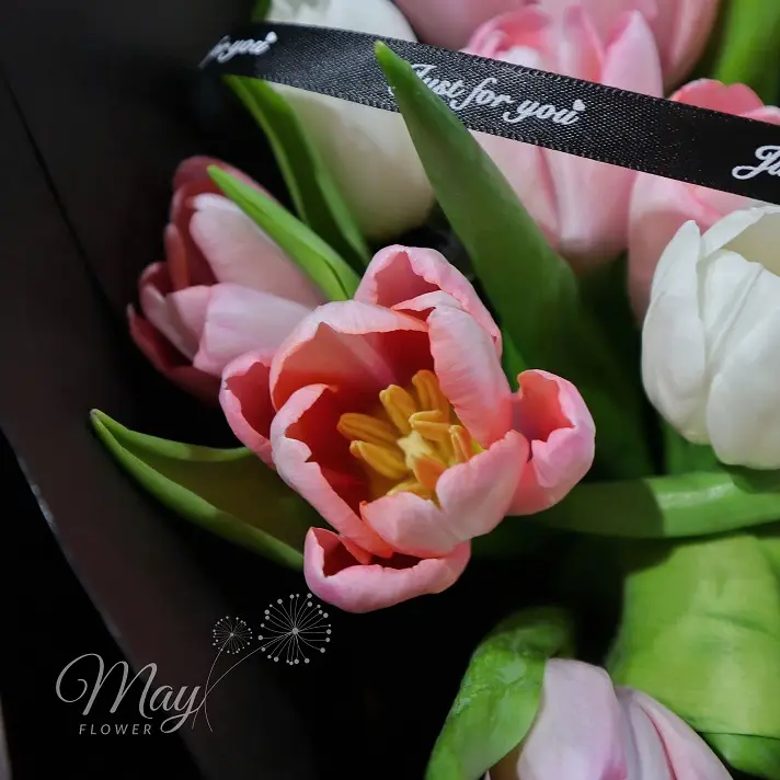 mong-hong-khong-phai-3