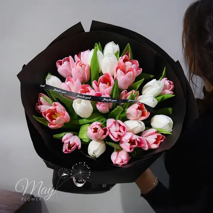 mong-hong-khong-phai-1