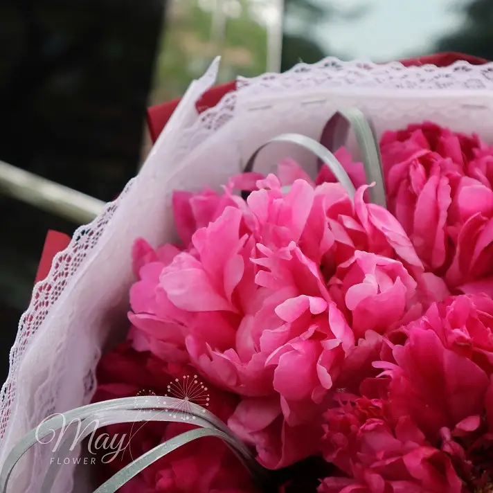sac-ngoc-kieu-sa-3