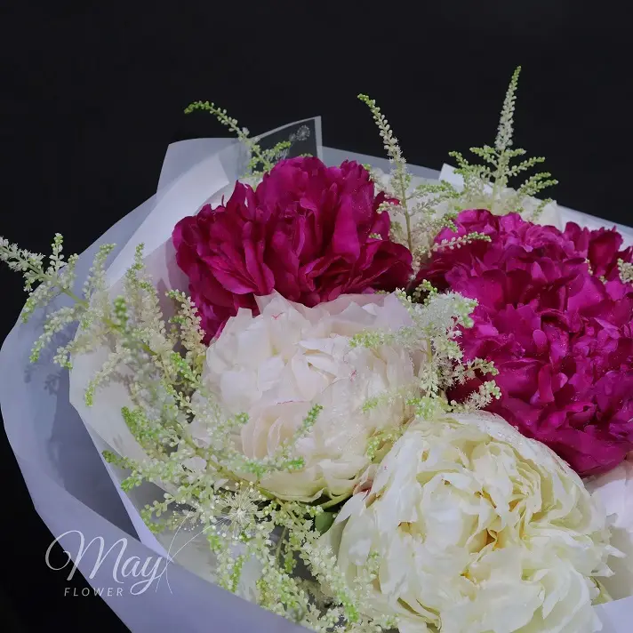 giai-dieu-thanh-xuan-2