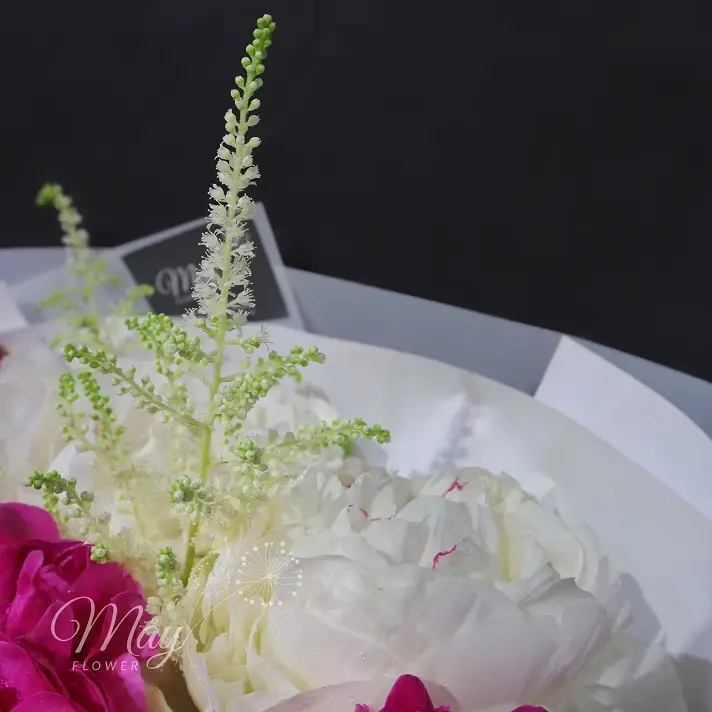 giai-dieu-thanh-xuan-3