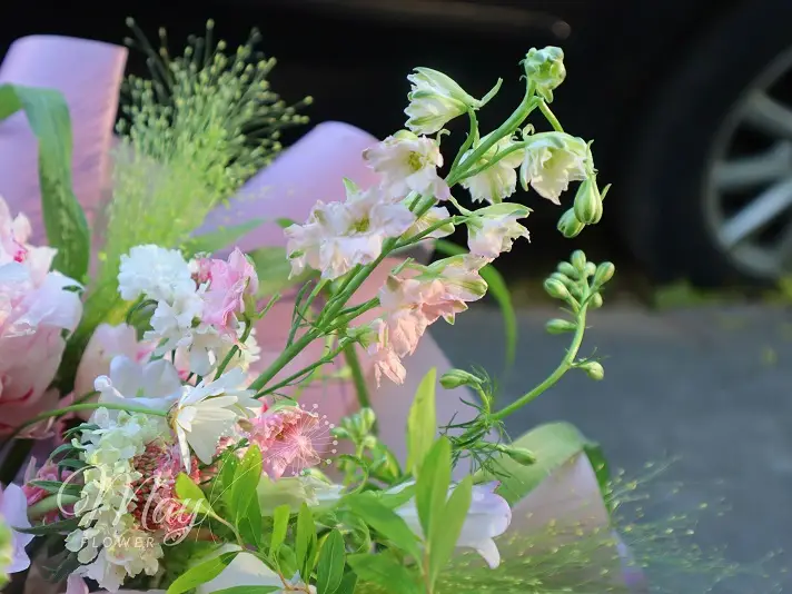 cua-nguoi-danc-biet-3