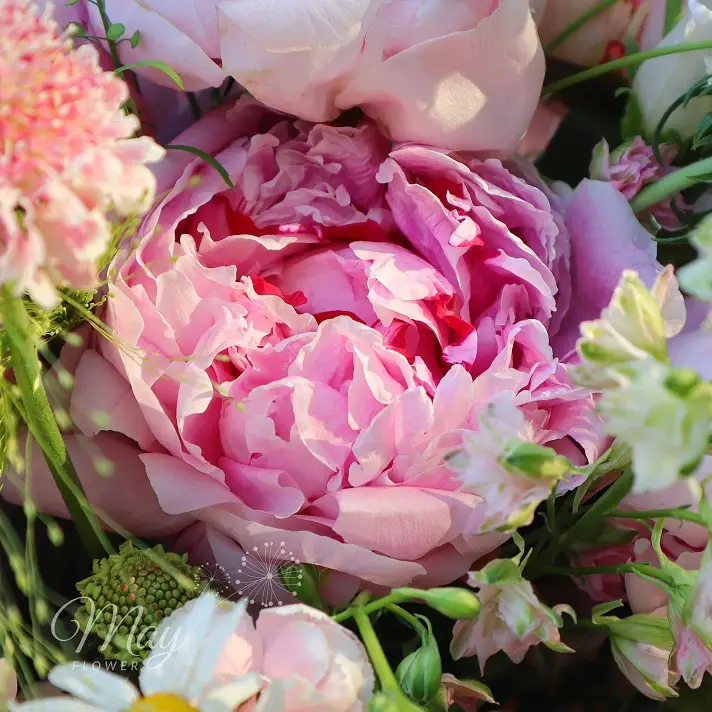 cua-nguoi-danc-biet-2