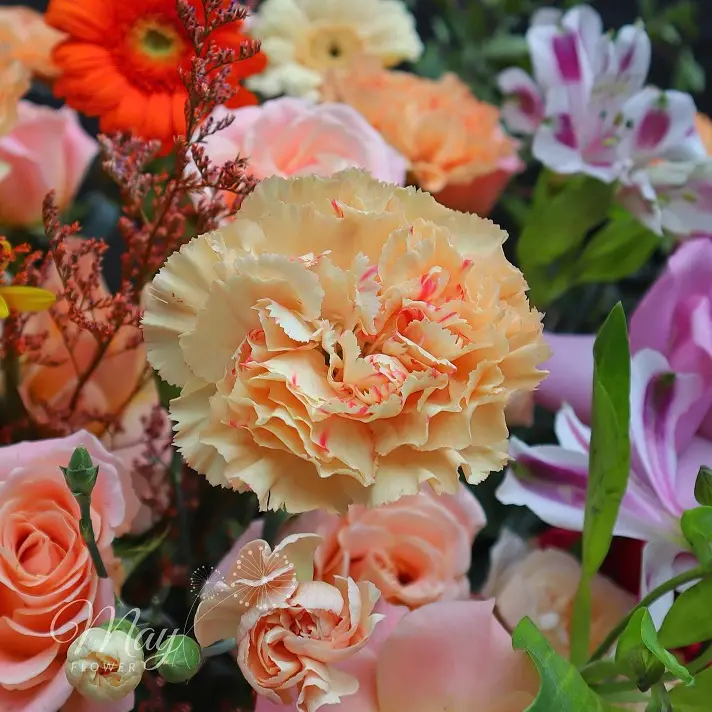 khai-truong-dai-phat-tai-3