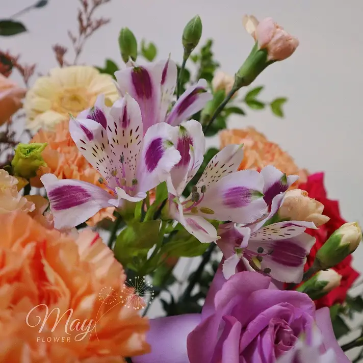 khai-truong-dai-phat-tai-2