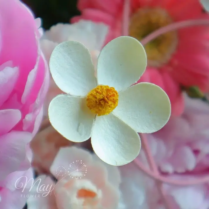 anh-nhin-nhe-nhang-2