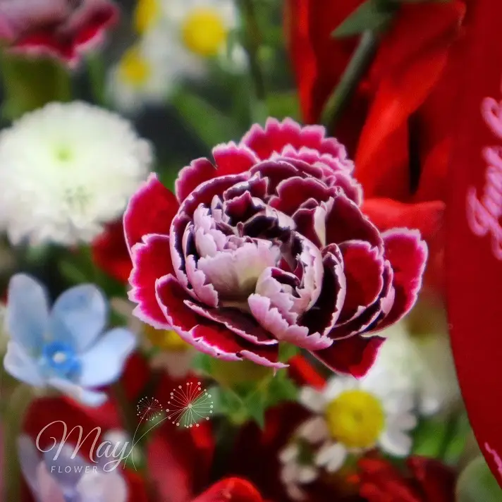 gui-em-yeu-thuong-3