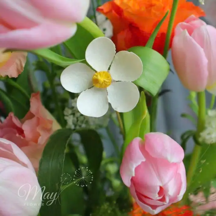 huong-nang-nhe-3
