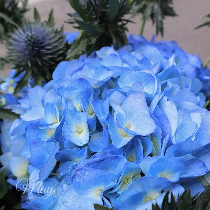 ngay-hong-nhe-troi-3