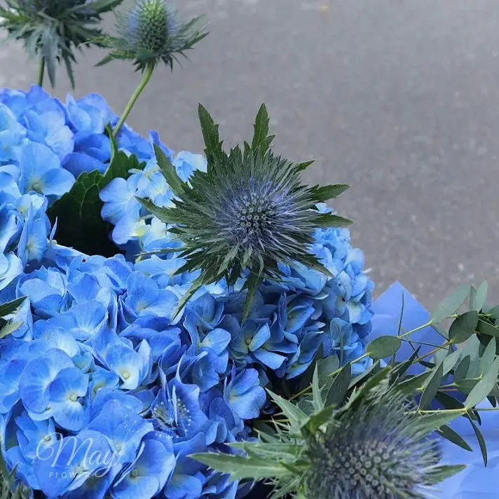 ngay-hong-nhe-troi-2