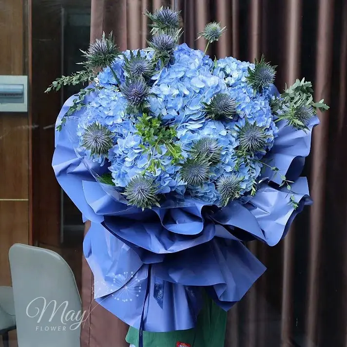 ngay-hong-nhe-troi-1